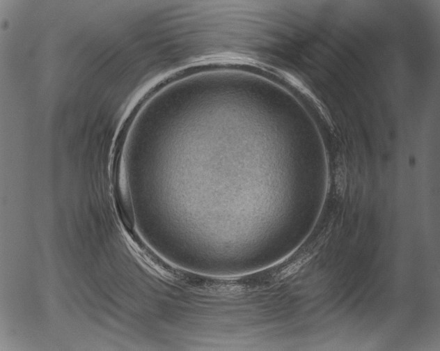 X0000054431372200508011346