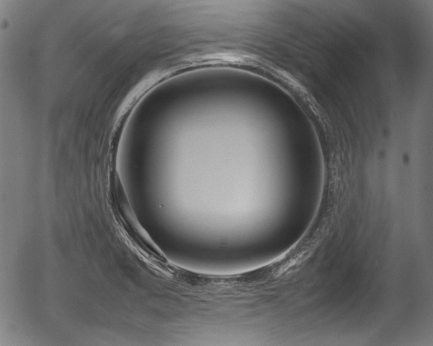 X0000054431373200508011346
