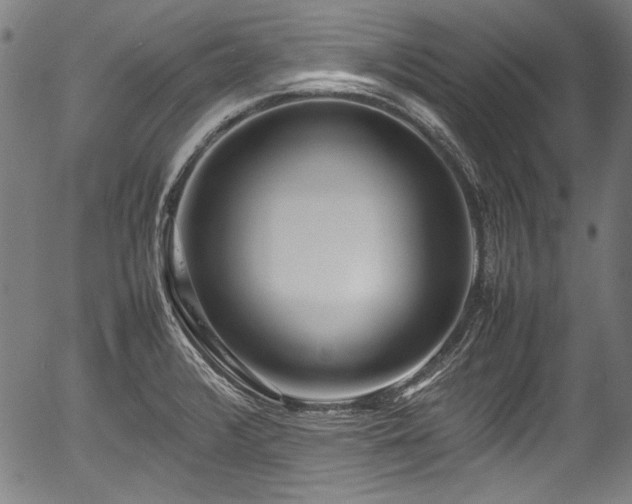 X0000054431376200508011346