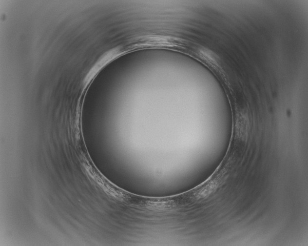 X0000054431378200508011346