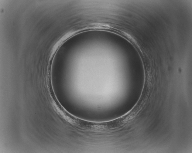 X0000054431379200508011346