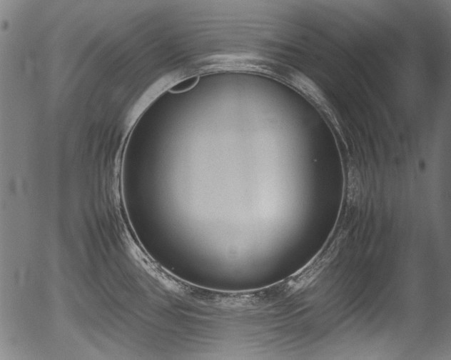 X0000054431386200508011346