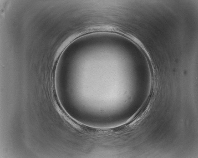 X0000054431389200508011346