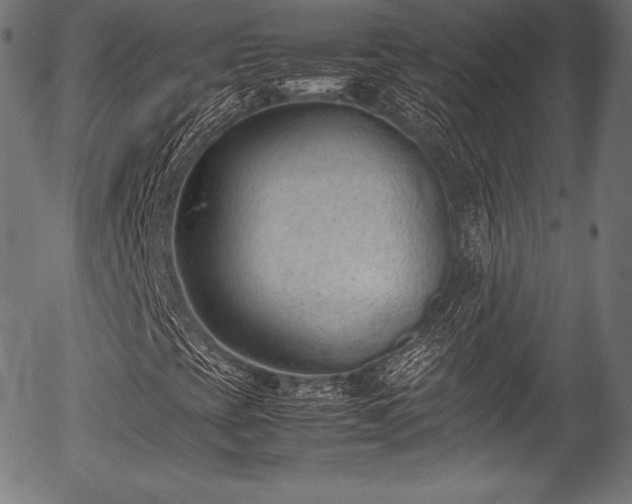 X0000054431393200508011345