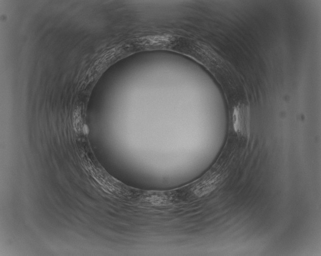 X0000054431395200508011345