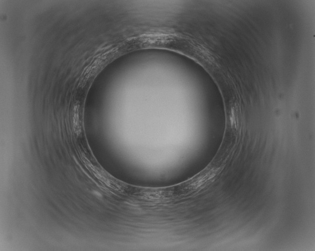 X0000054431396200508011345