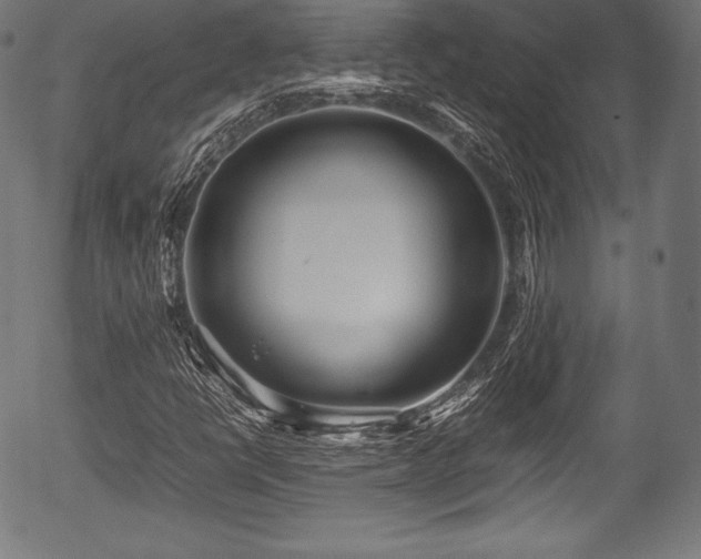 X0000054431398200508011345