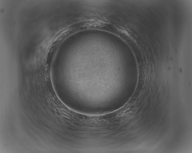 X0000054431399200508011345