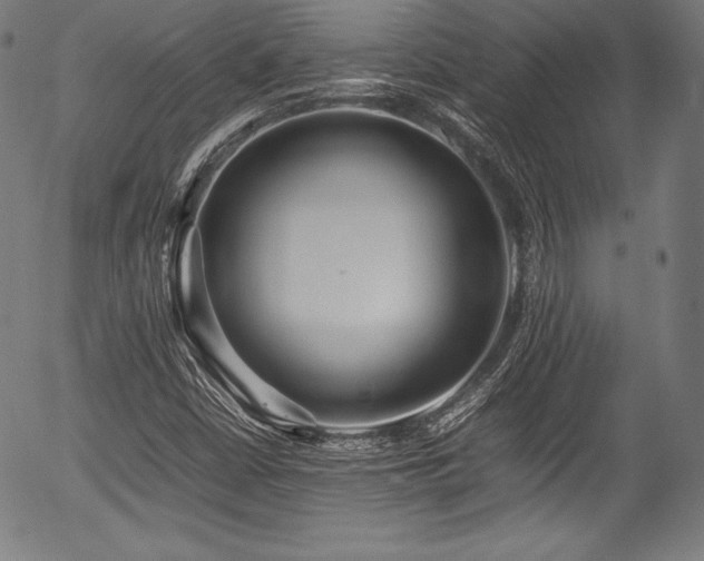 X0000054431402200508011345