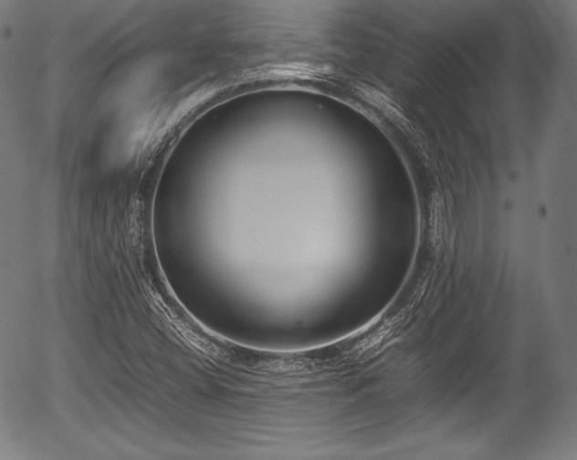 X0000054431404200508011345