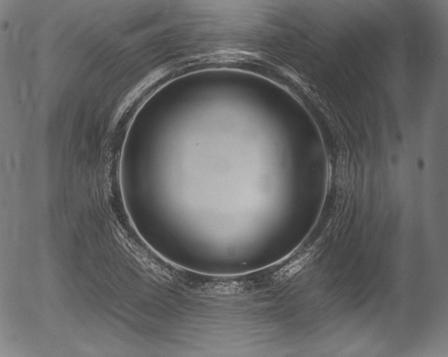 X0000054431410200508011345