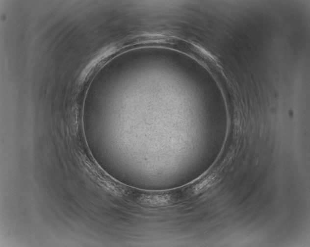 X0000054431411200508011345