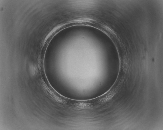 X0000054431412200508011345