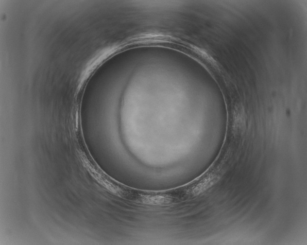 X0000054431413200508011345
