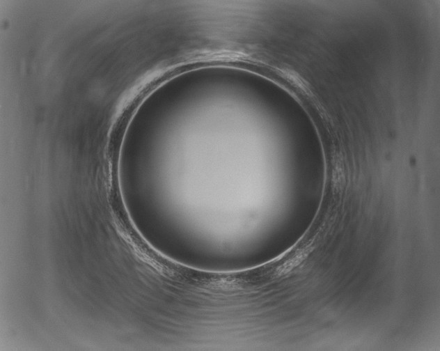 X0000054431414200508011345