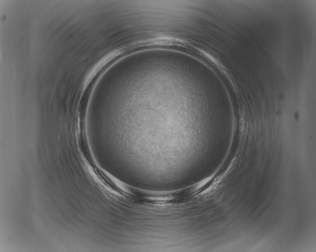 X0000054431418200508011345