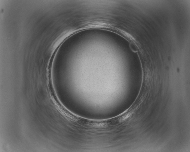 X0000054431423200508011346