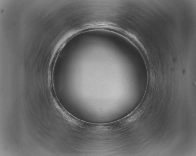 X0000054431424200508011346
