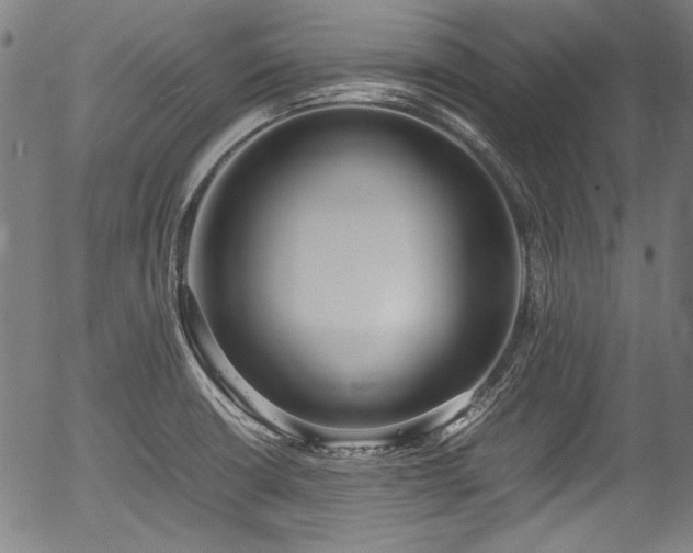 X0000054431426200508011346