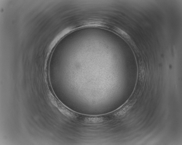X0000054431427200508011346