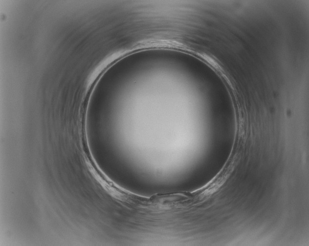 X0000054431438200508011346