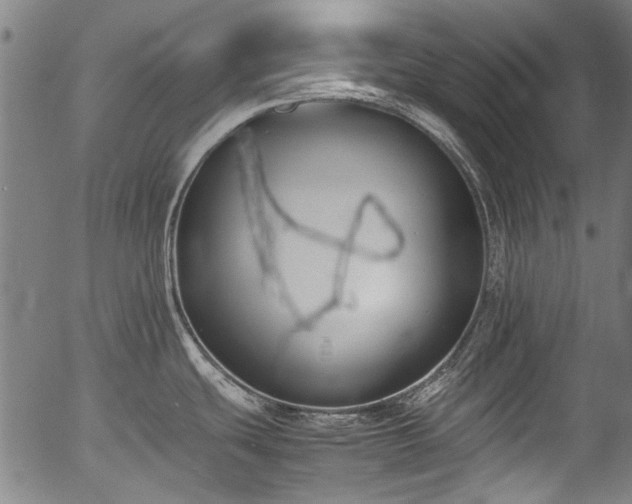 X0000054431439200508011346