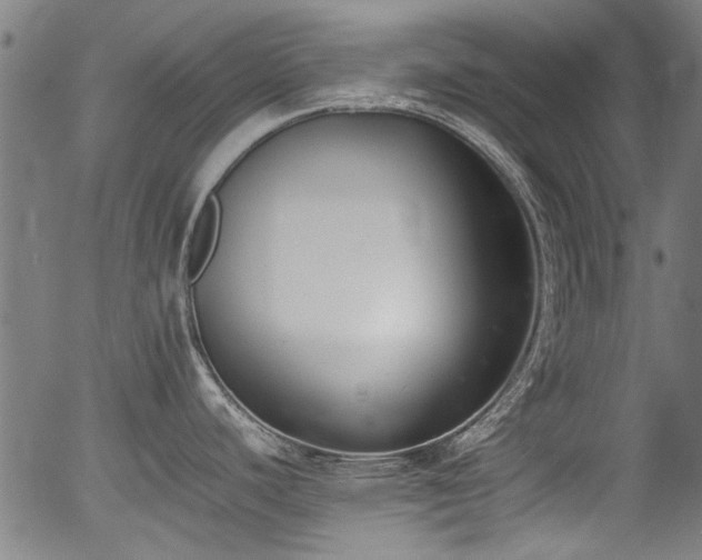 X0000054431440200508011346