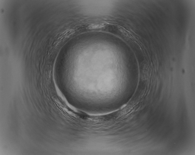 X0000054431441200508011345