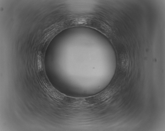 X0000054431442200508011345