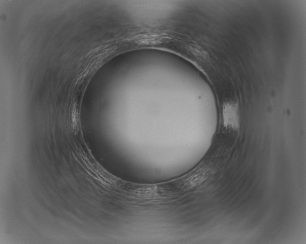 X0000054431444200508011345