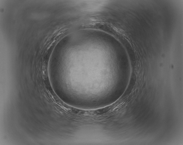 X0000054431445200508011345