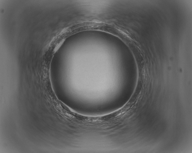 X0000054431447200508011345