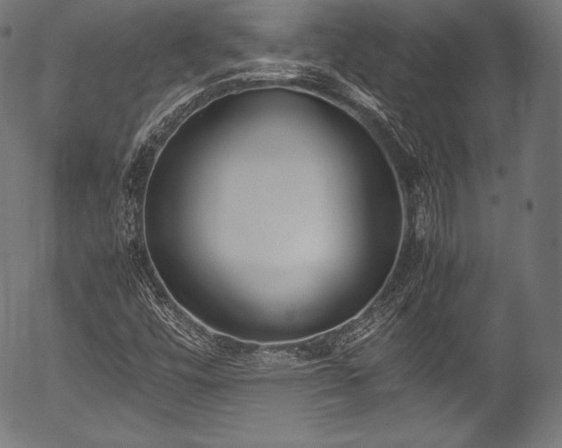 X0000054431448200508011345