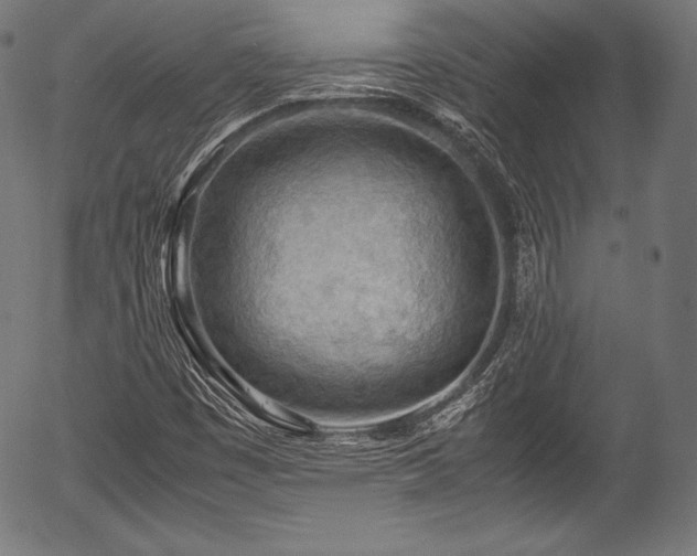 X0000054431449200508011345