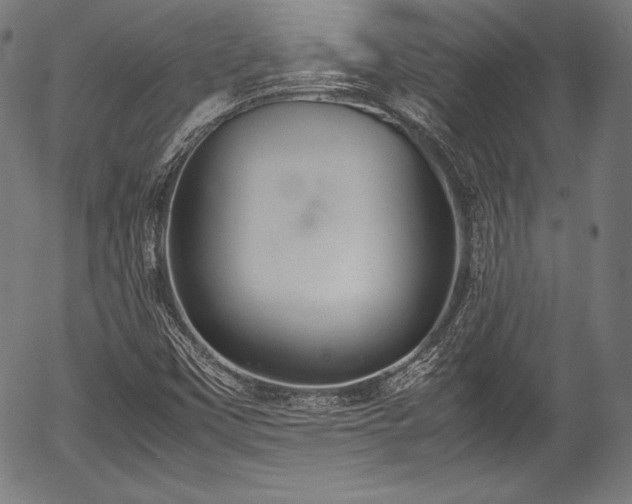 X0000054431451200508011345