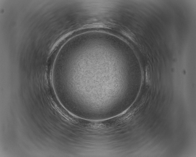 X0000054431452200508011345