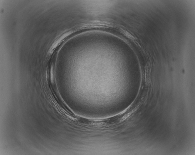 X0000054431453200508011345