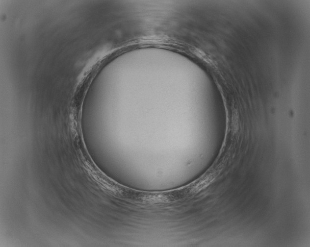 X0000054431454200508011345