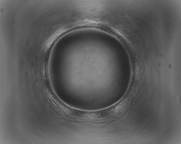 X0000054431455200508011345