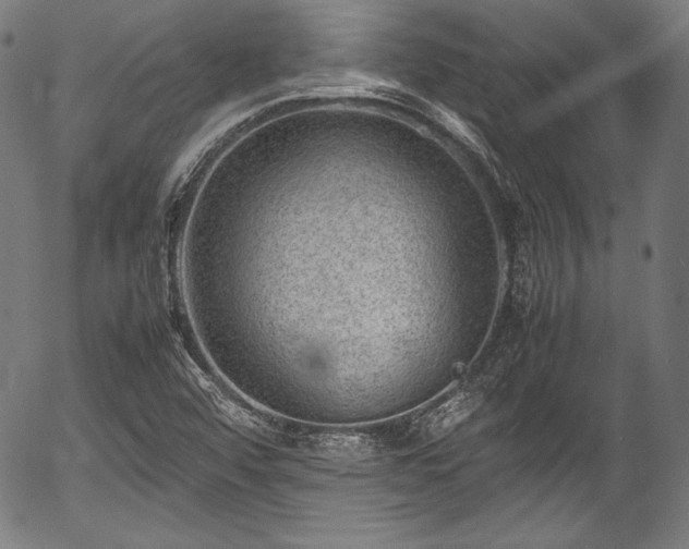 X0000054431456200508011345