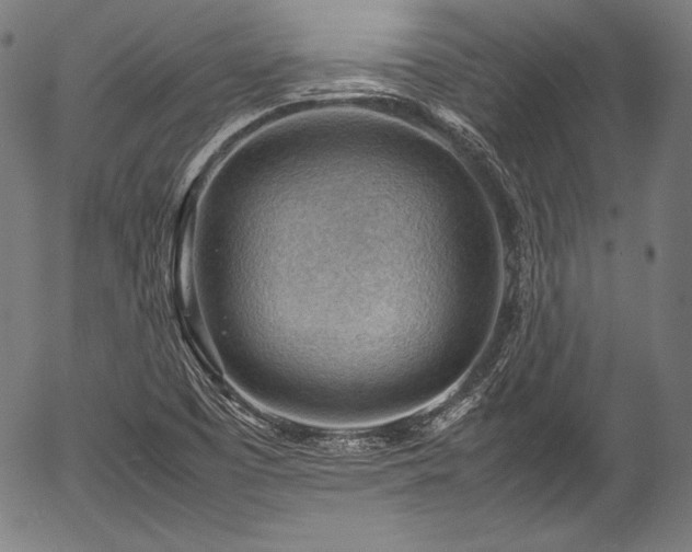 X0000054431457200508011345