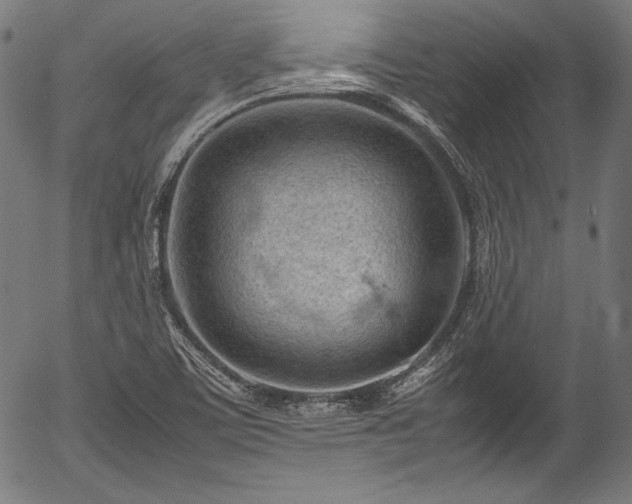X0000054431459200508011345