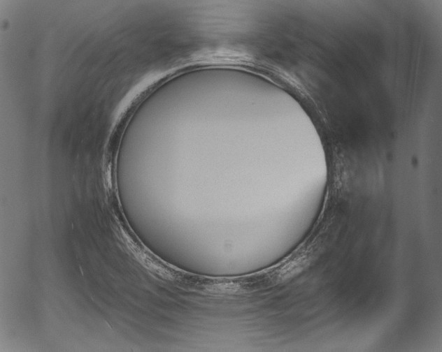 X0000054431462200508011345