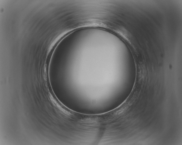 X0000054431468200508011345