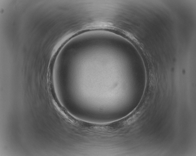 X0000054431469200508011345