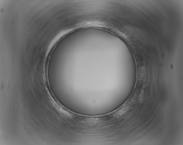 X0000054431470200508011345