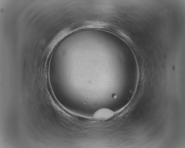 X0000054431471200508011344