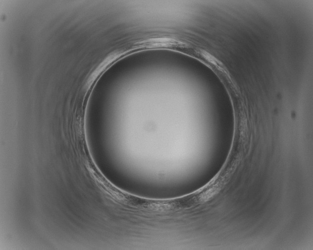 X0000054431473200508011344
