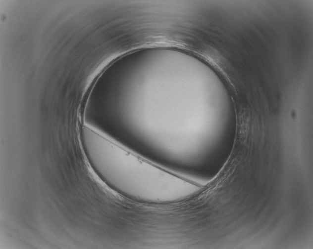 X0000054431476200508011344