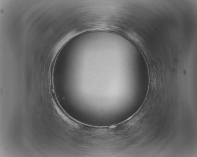 X0000054431479200508011344